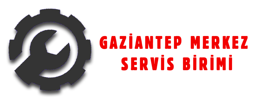 Servis-Merkezi Kurumsal Logosu